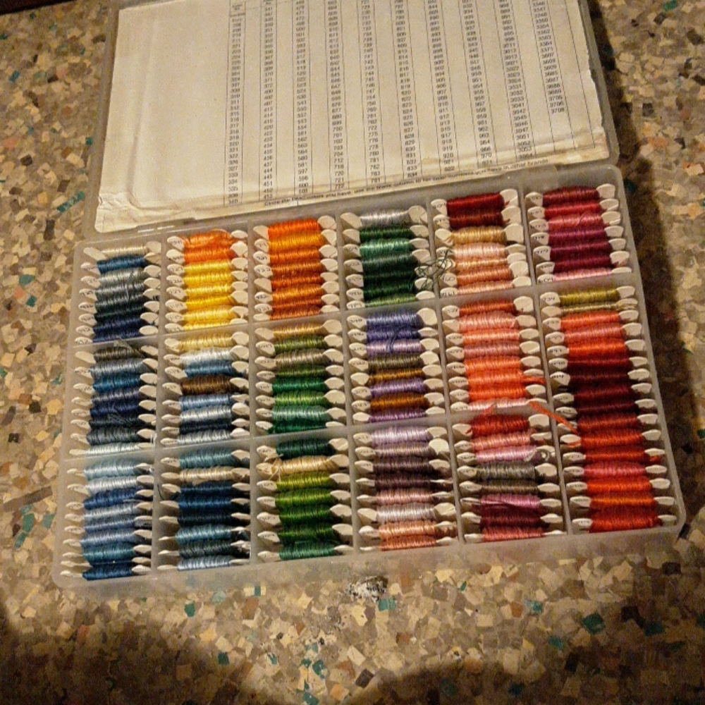 Stitch and store embroidery thread and case